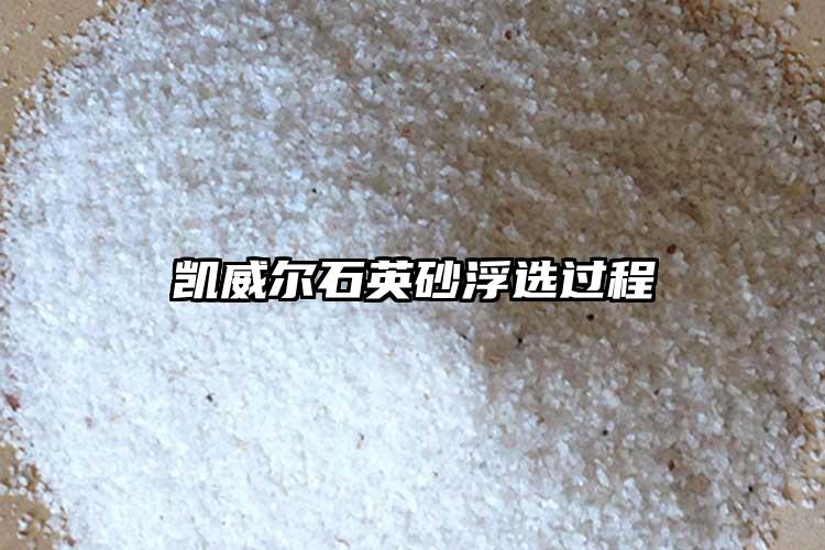 生产厂家91麻豆啪啪视频砂浮选过程